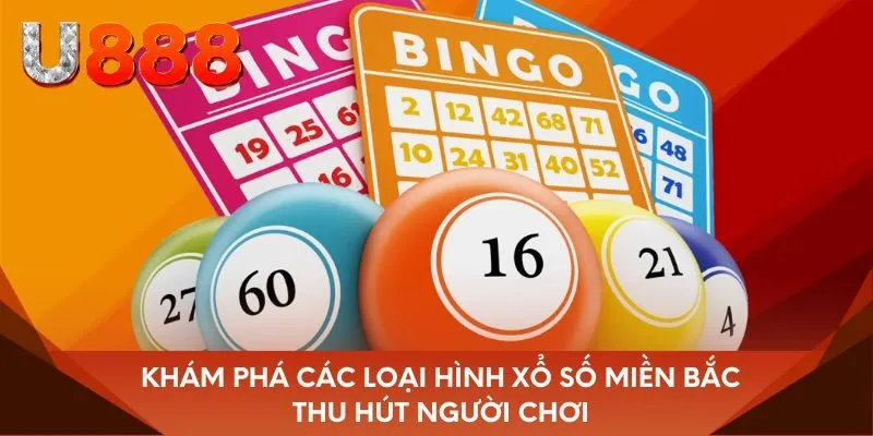 Khám phá các loại hình xổ số miền Bắc thu hút người chơi